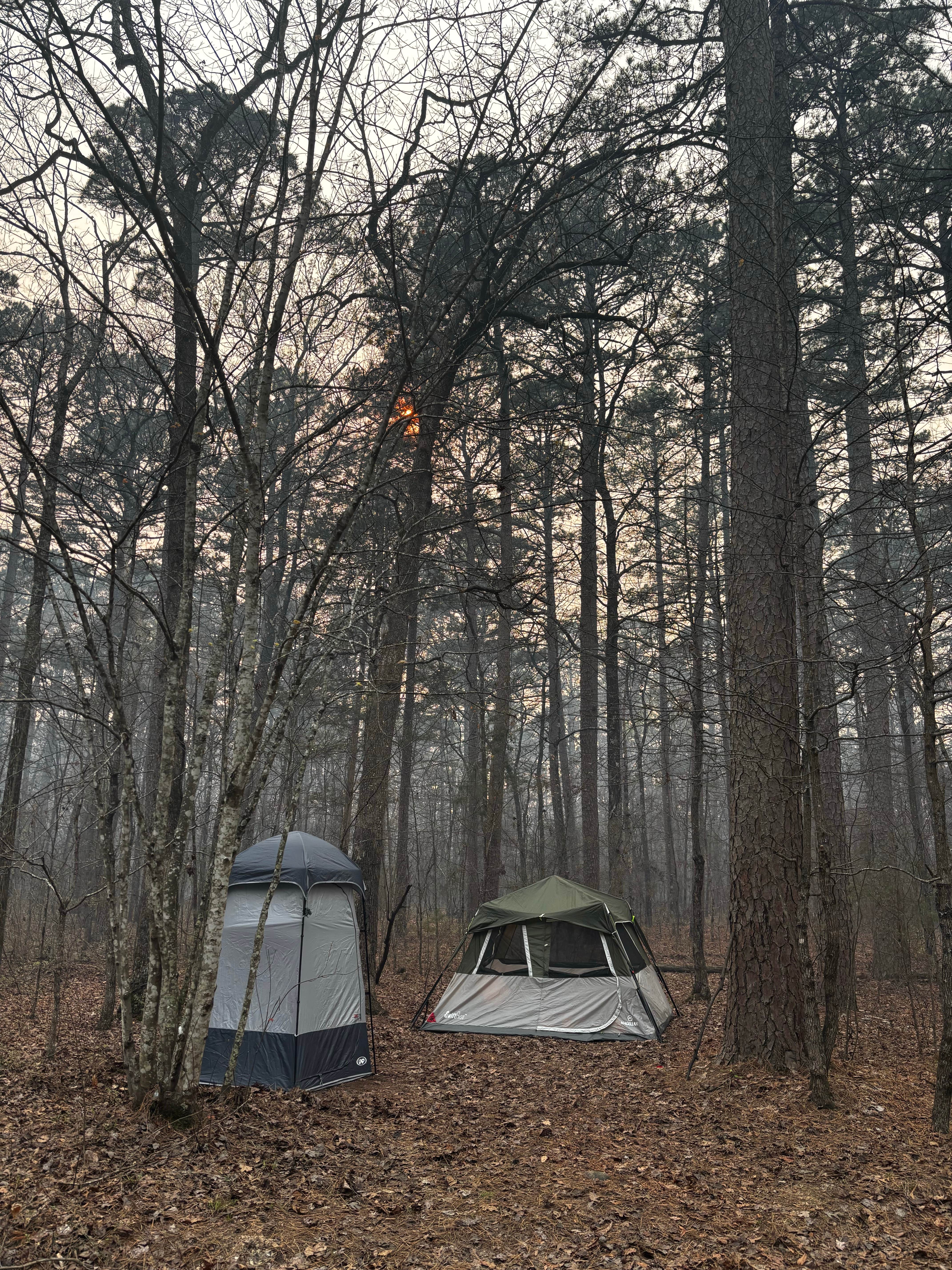 Camping near County Road D1590 Dispersed: Turner Creek Road, Boles, Arkansas