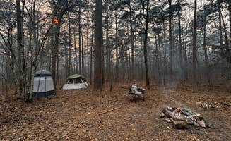 Brianna H.'s photo at Turner Creek Road near Oden, AR