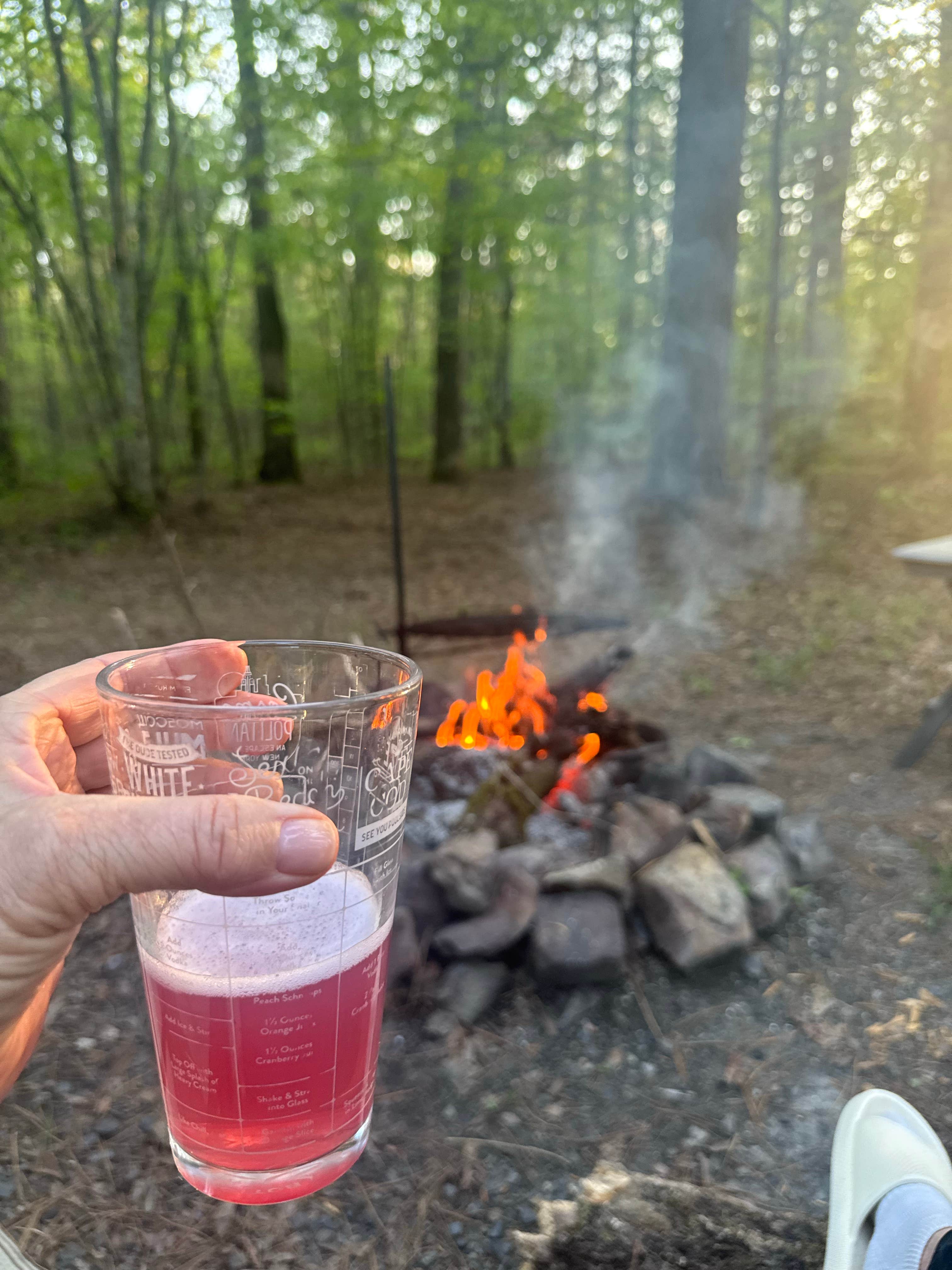 Camper-submitted photo at Turner Creek Road near Boles, AR