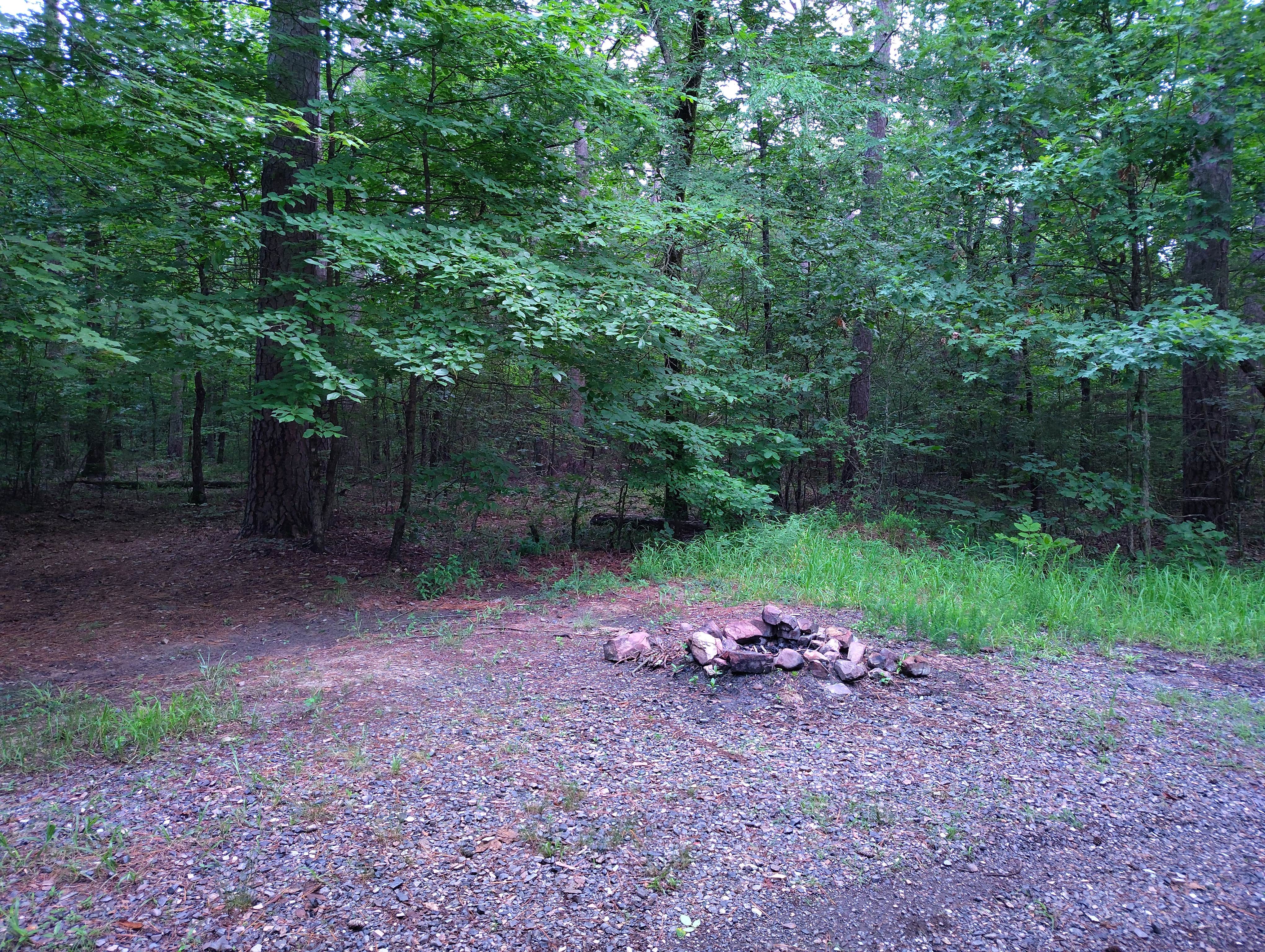 Camping near Mena Arkansas: Turner Creek Road, Boles, Arkansas