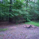 Review photo of Turner Creek Road by Jacob , June 8, 2025