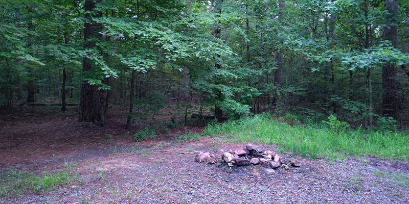 Camper submitted image from Turner Creek Road