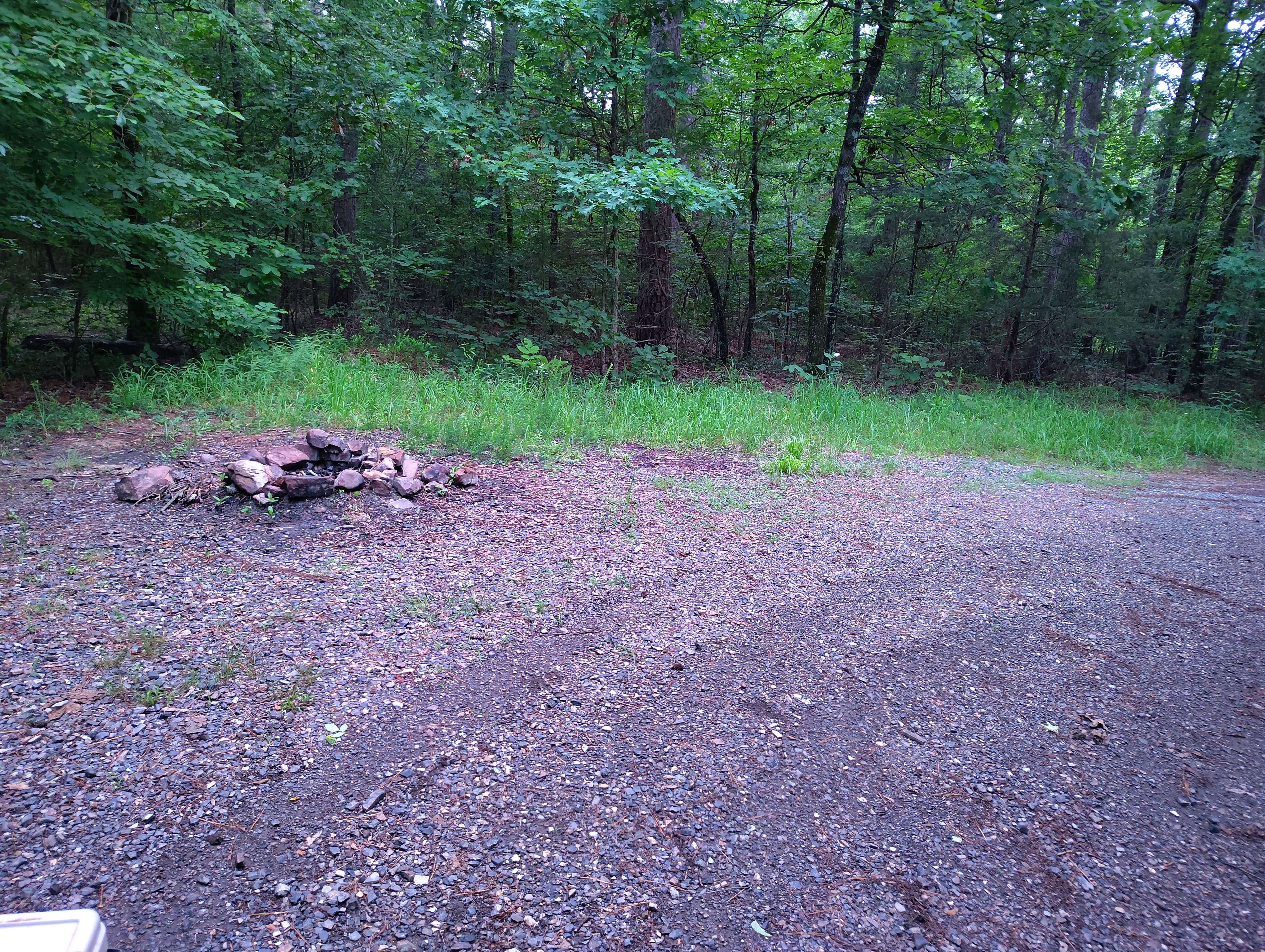 Camper-submitted photo at Turner Creek Road near Langley, AR
