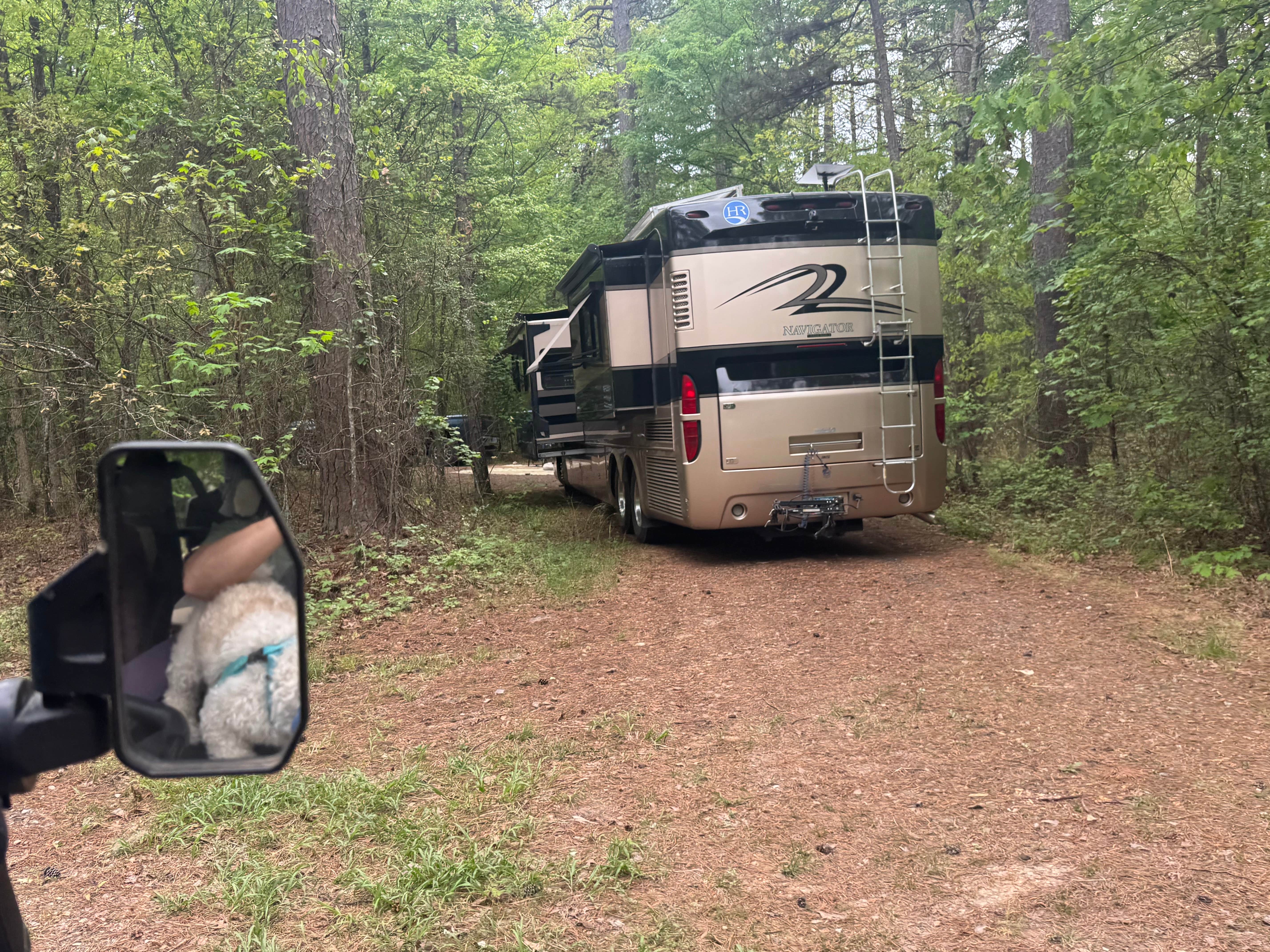 Camper-submitted photo at Turner Creek Road near Boles, AR