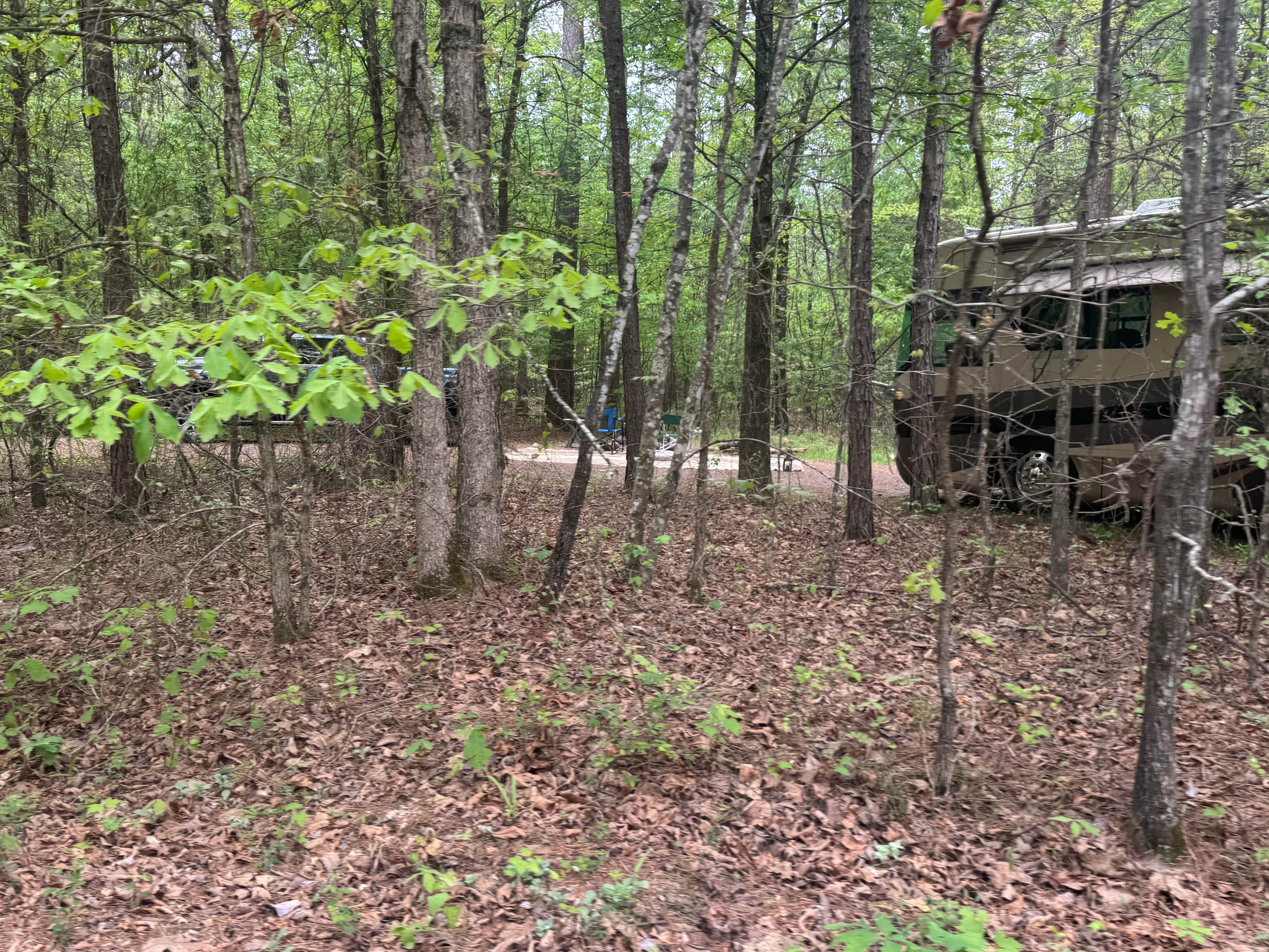 Camper-submitted photo at Turner Creek Road near Boles, AR