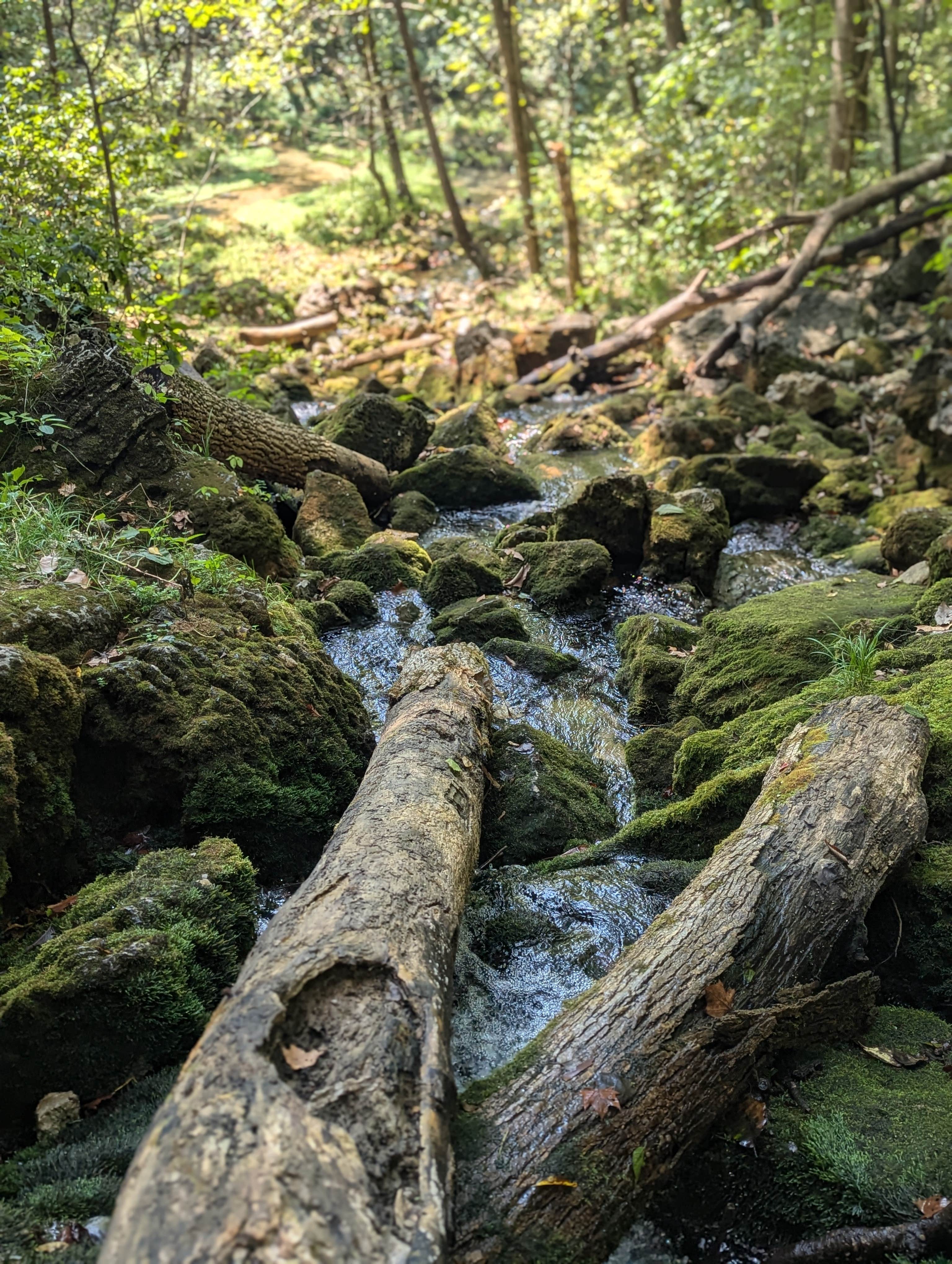 Camper-submitted photo at Turner's mill near Pomona, MO