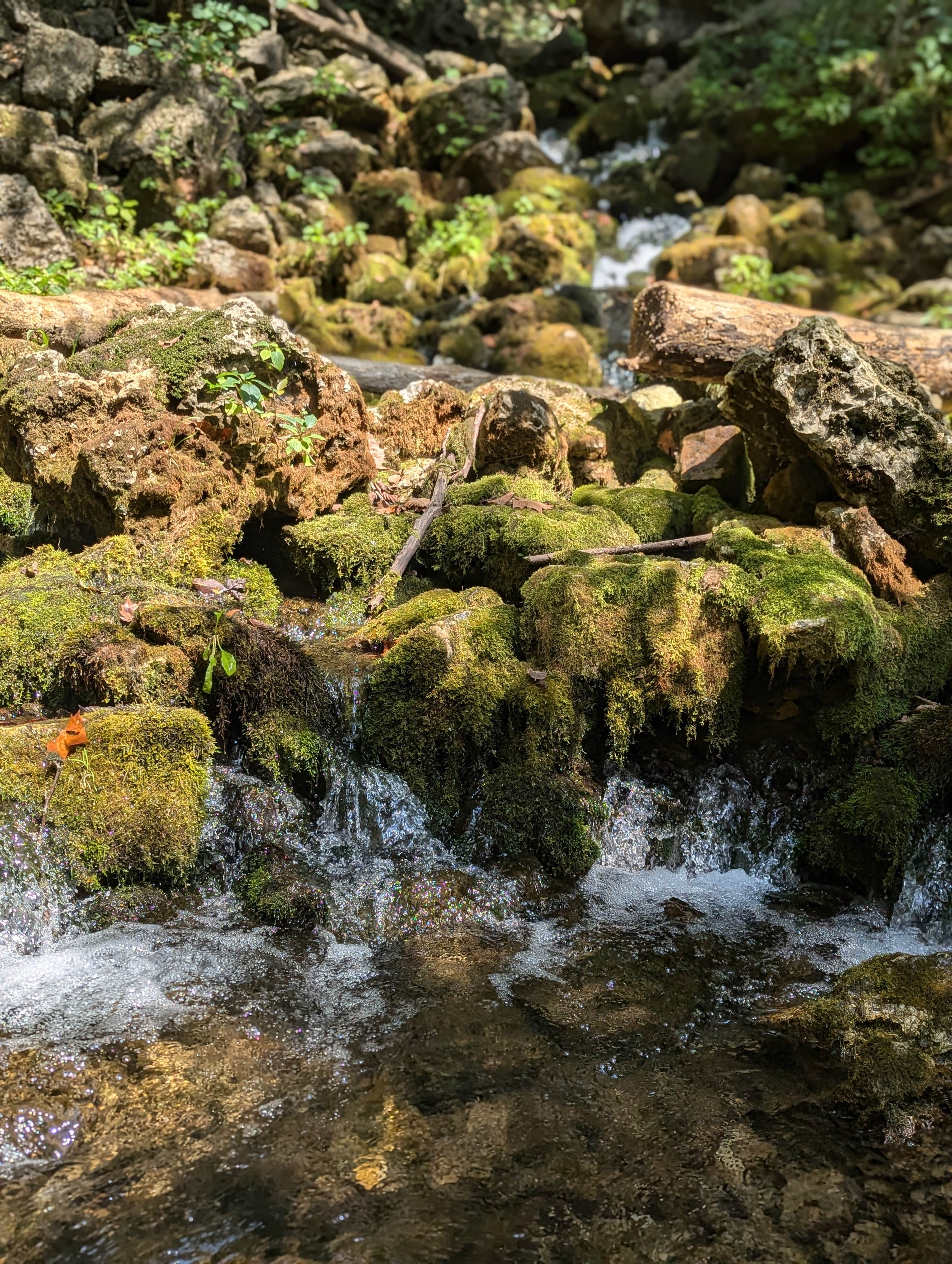 Camper-submitted photo at Turner's mill near Pomona, MO
