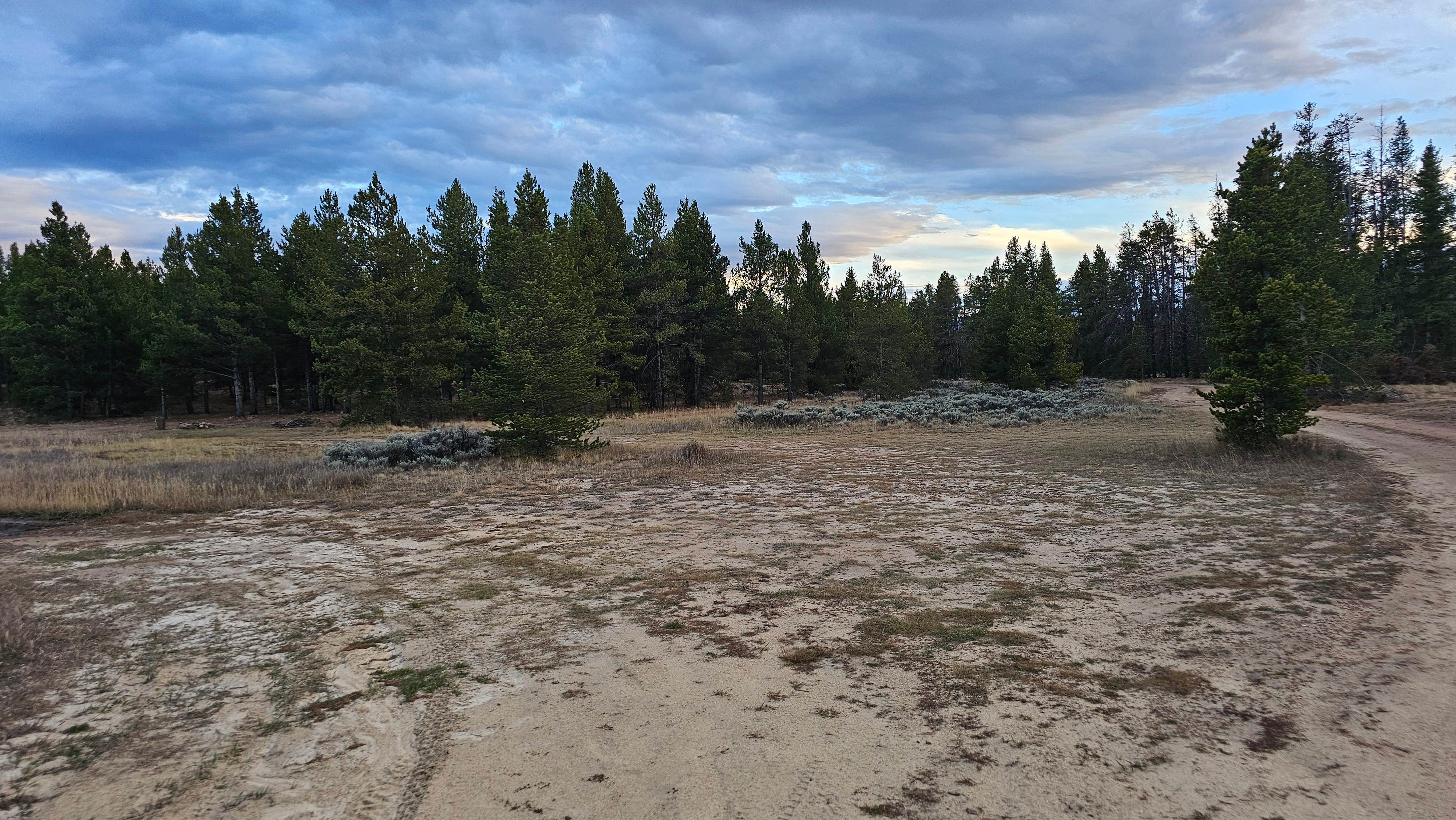 Camper-submitted photo at Turquoise Lake Dispersed near Alma, CO