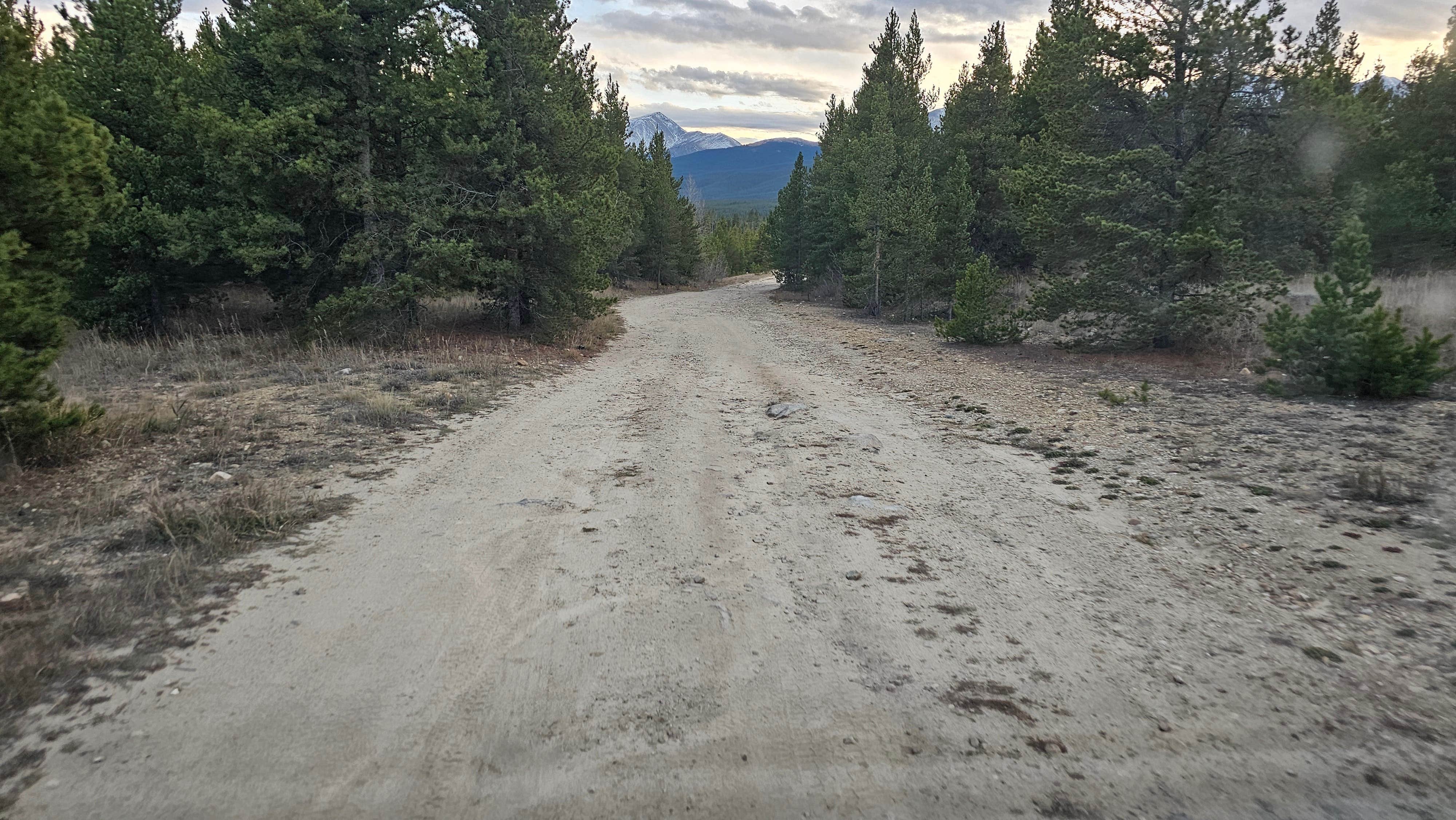 Camper submitted image from Turquoise Lake Dispersed - 3