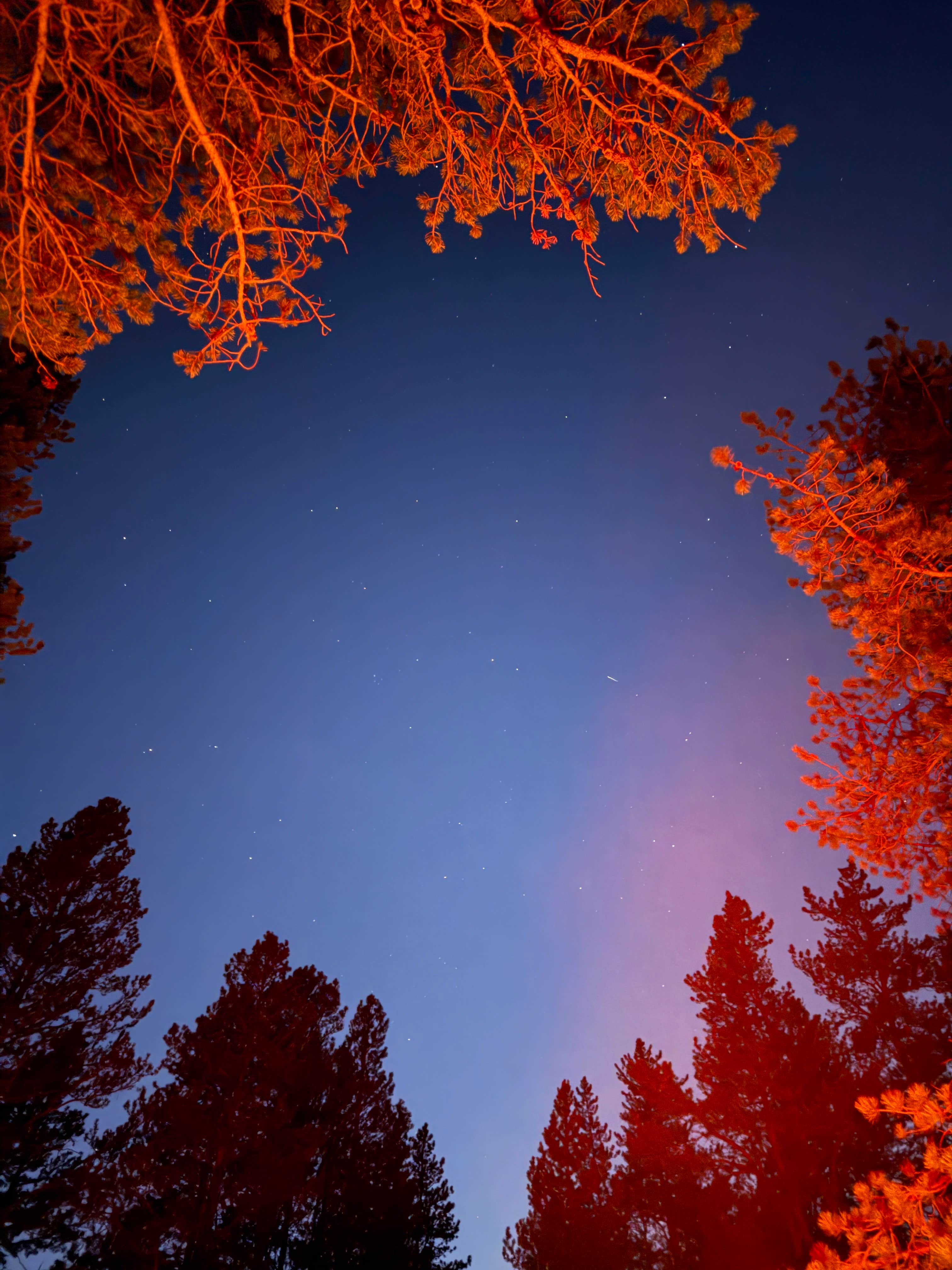 Camping near Leadville, Colorado Dispersed near Birdseye Gulch Jeep Rd: Turquoise Lake Dispersed, Leadville, Colorado