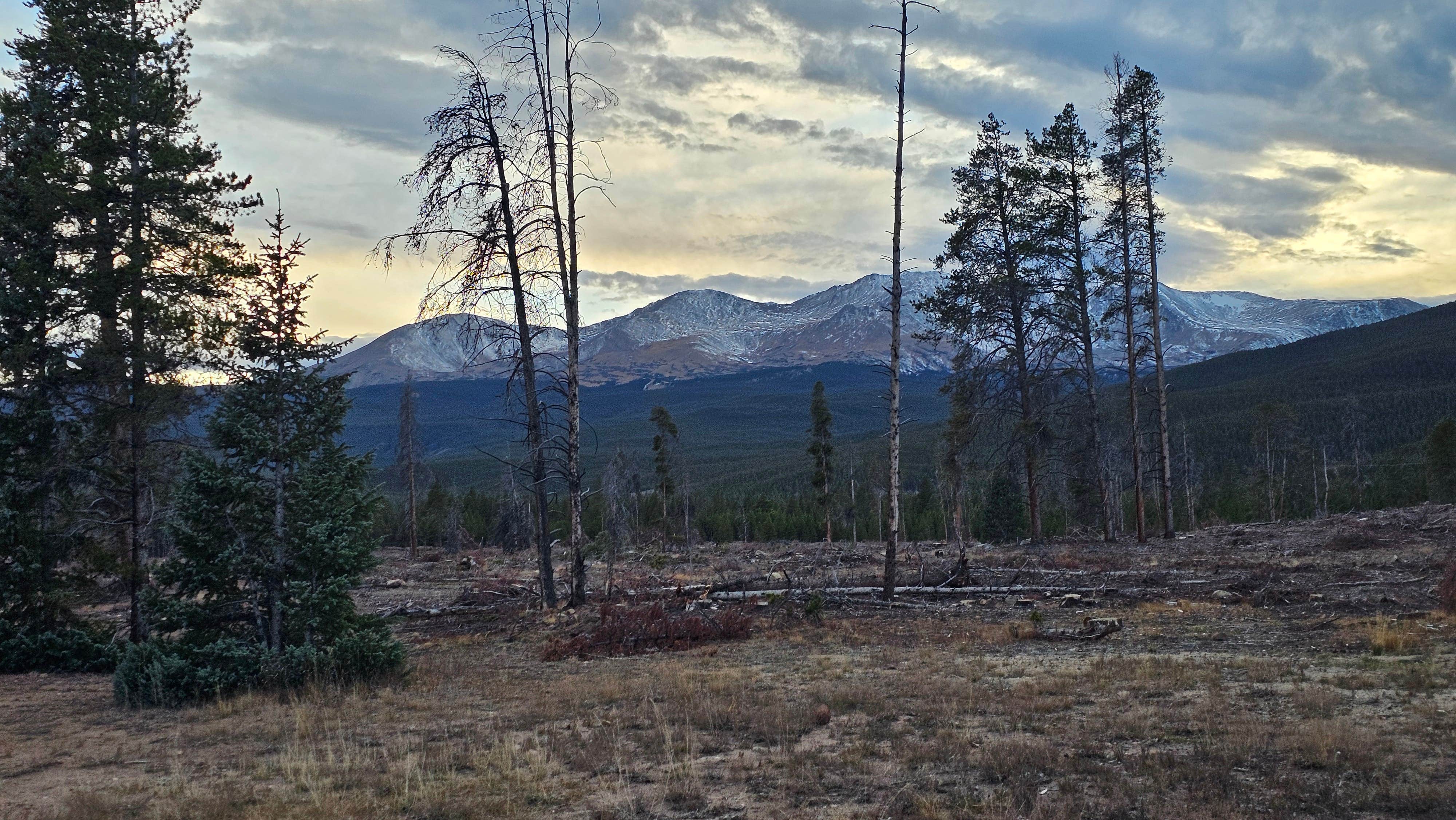 Camper-submitted photo at Turquoise Lake Dispersed near Alma, CO