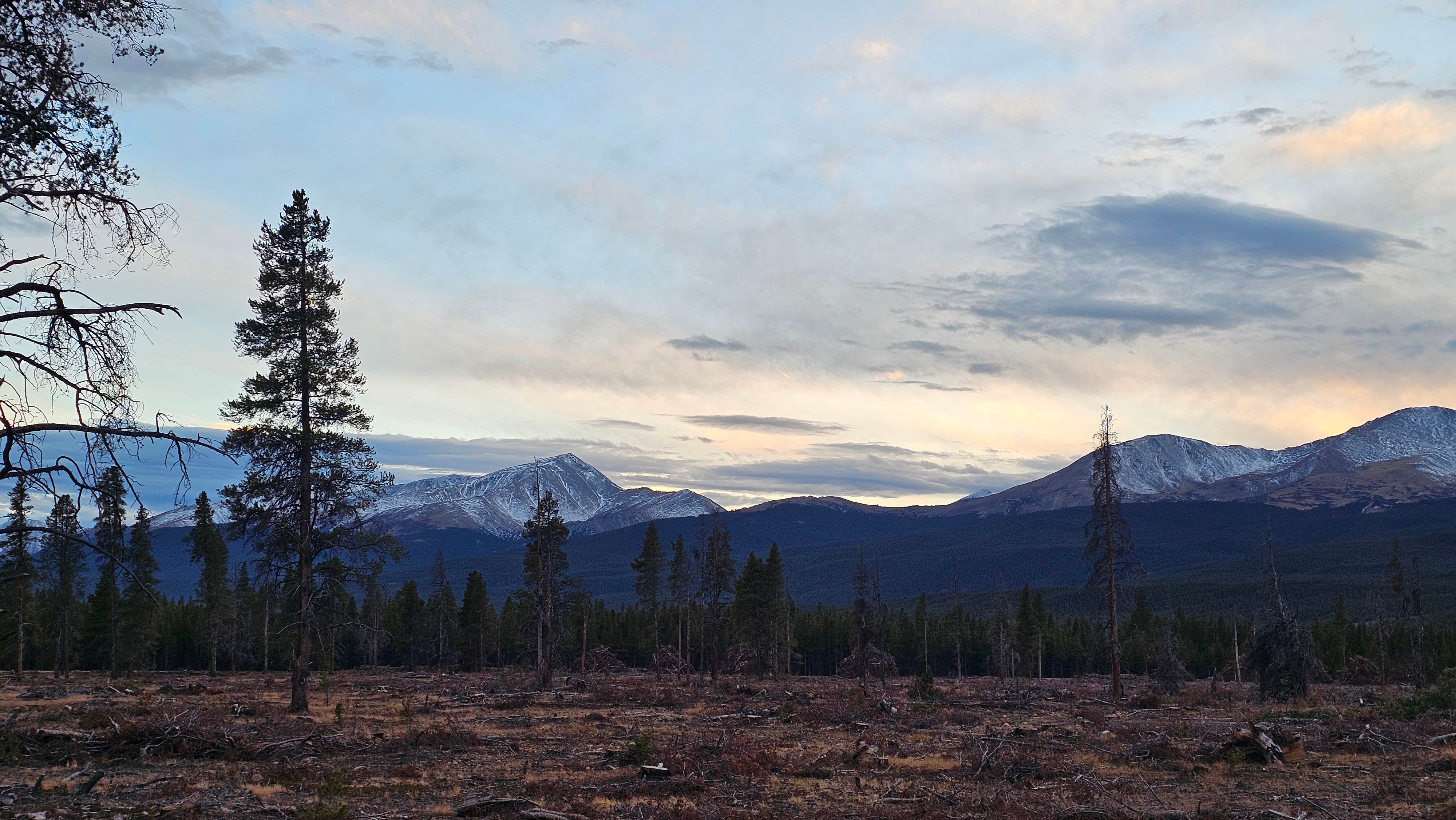 Camper-submitted photo at Turquoise Lake Dispersed near Alma, CO