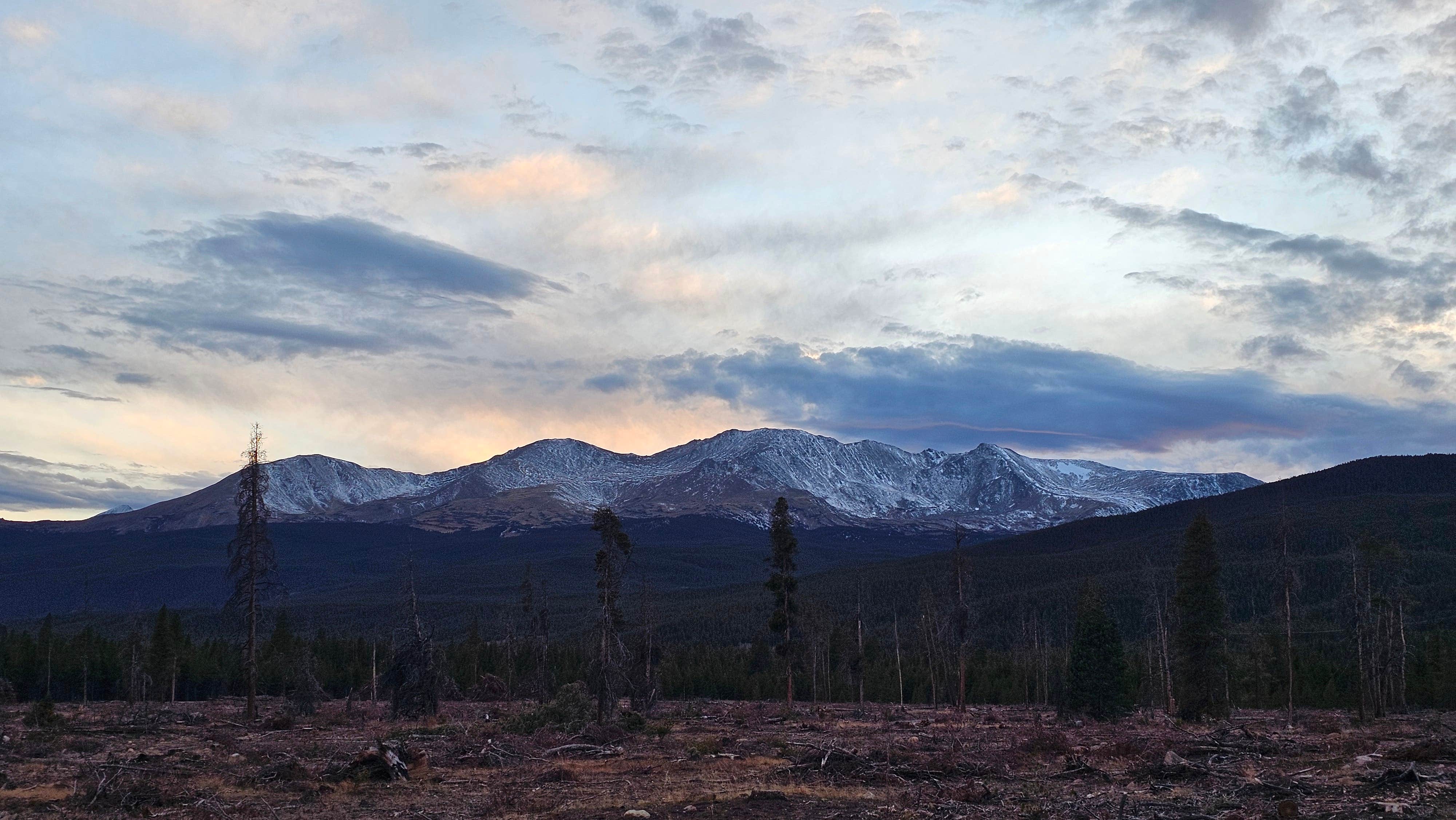 Camper submitted image from Turquoise Lake Dispersed - 2