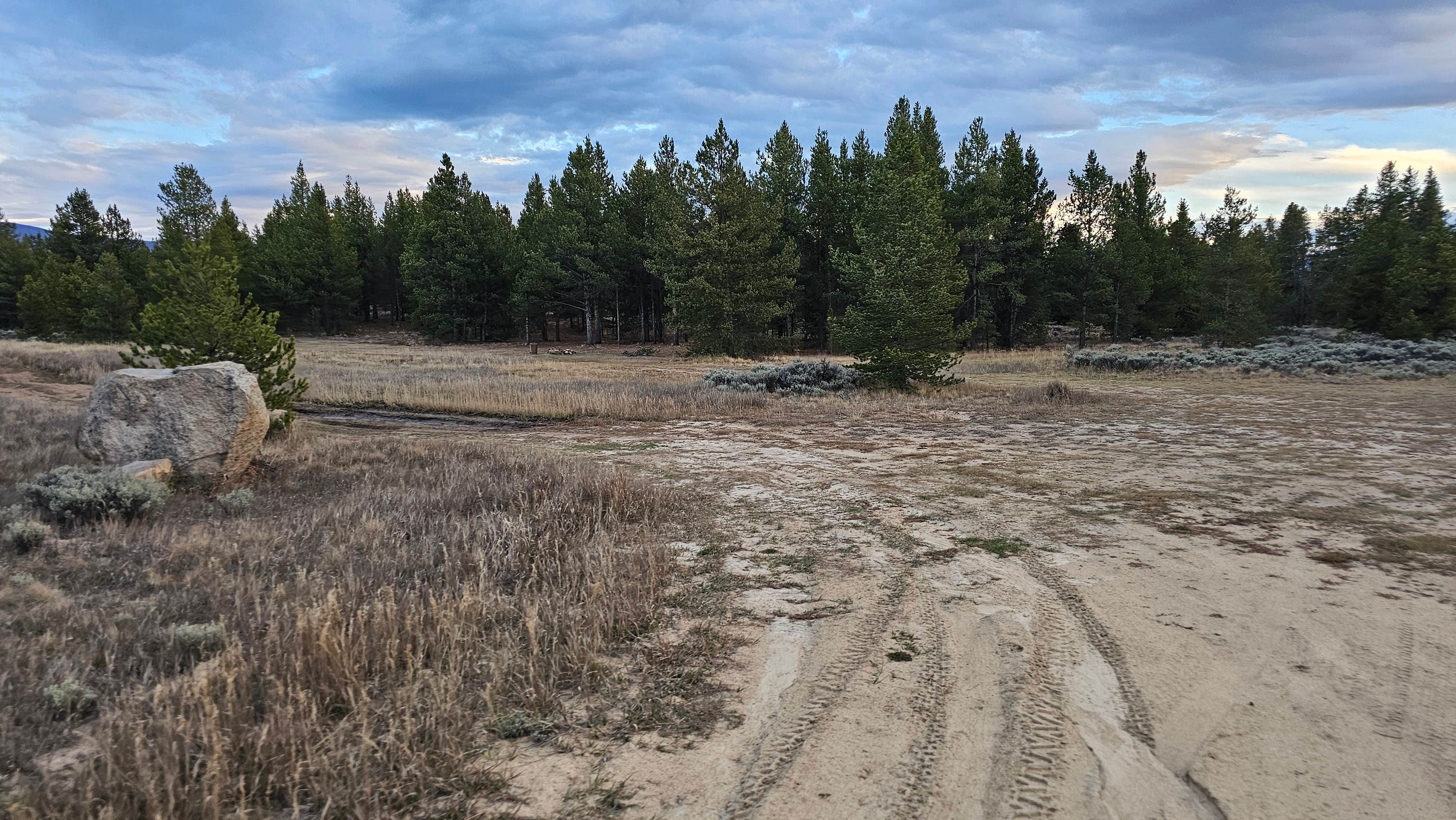 Camper submitted image from Turquoise Lake Dispersed - 1