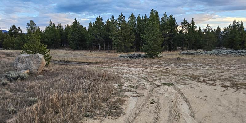 Camper submitted image from Turquoise Lake Dispersed