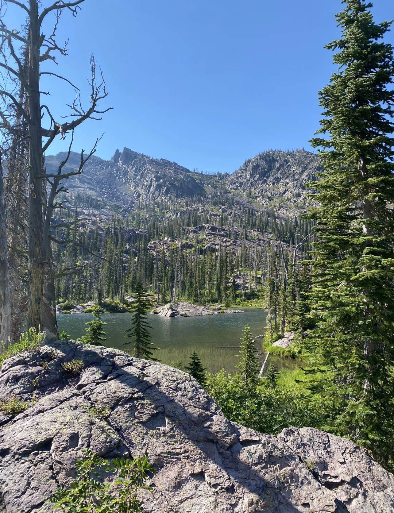 Camper submitted image from Turquoise Lake Backcountry Site - 2