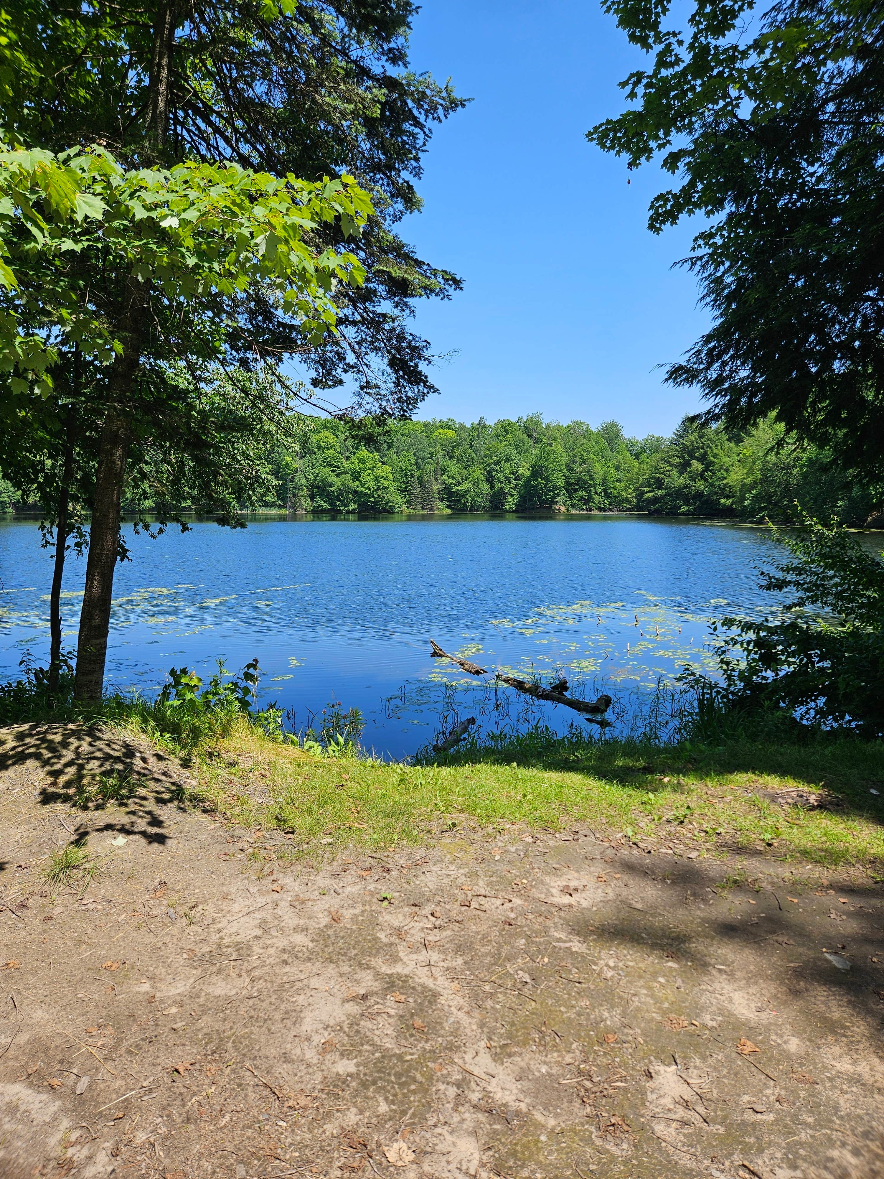 Camper-submitted photo at Turtle Lake near Wabeno, WI