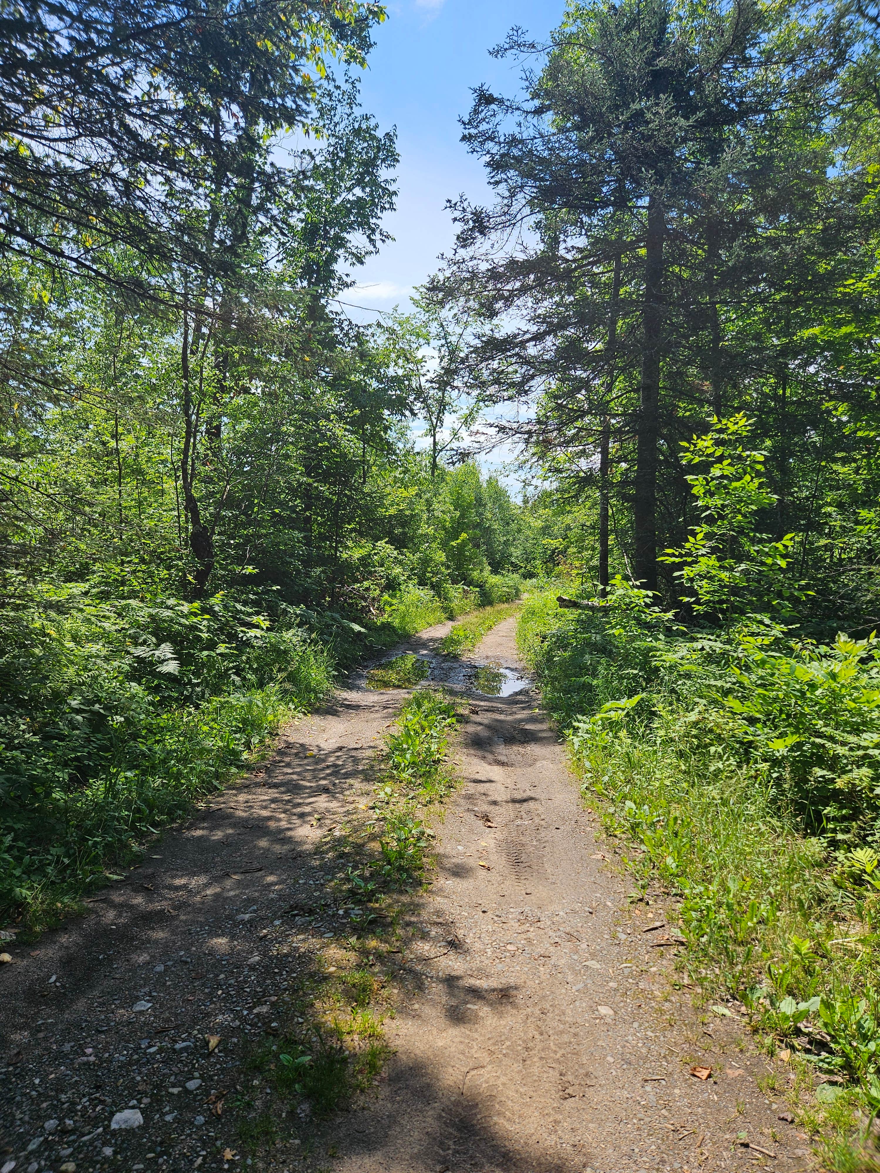 Camper-submitted photo at Turtle Lake near Wabeno, WI