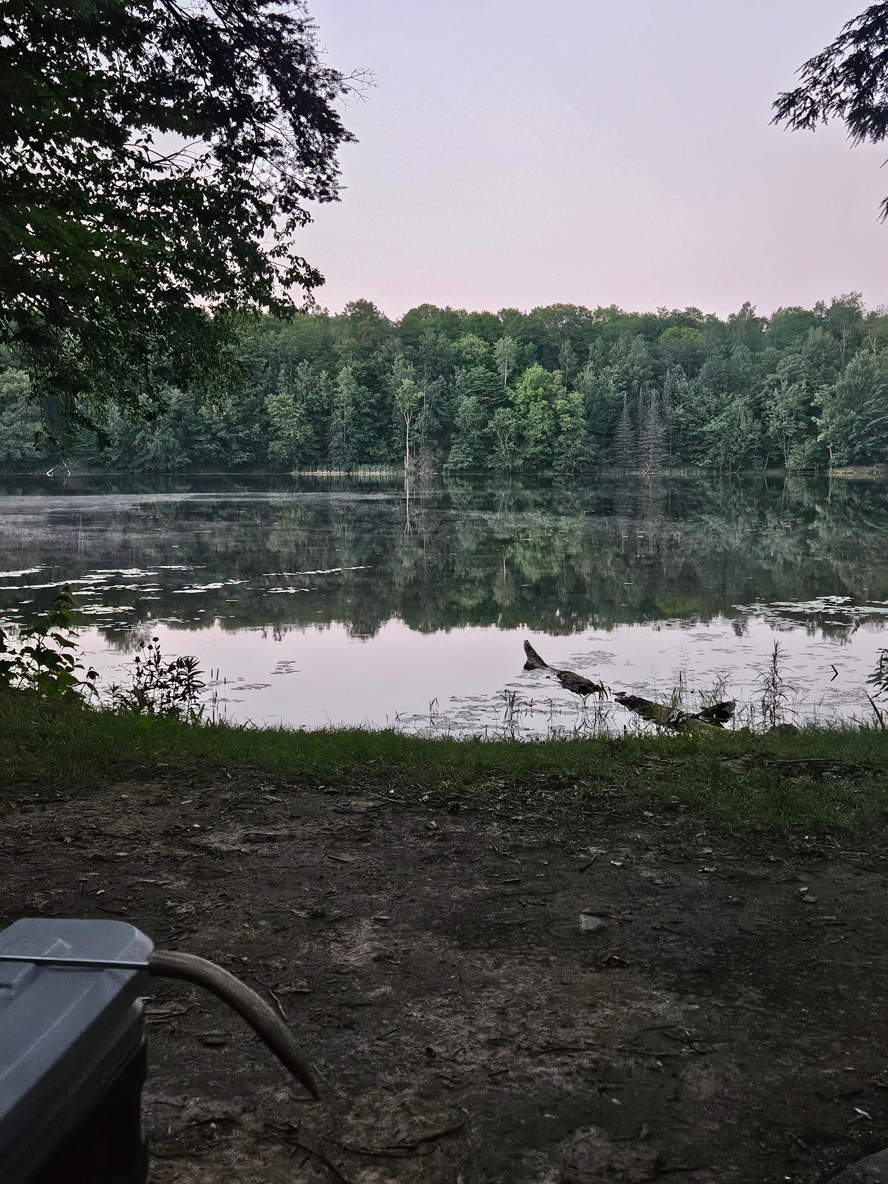 Camper-submitted photo at Turtle Lake near Wabeno, WI