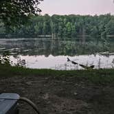 Review photo of Turtle Lake by curtis B., July 11, 2026