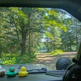 Review photo of Turtle Lake by Kelly M., July 12, 2026