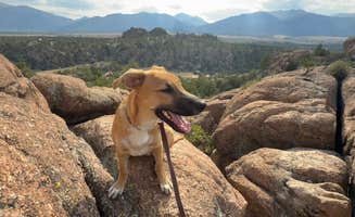brickhousegary H.'s photo of camping with pets at Turtle Rock Campground near Buena Vista, CO