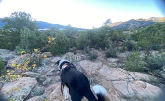 Coco's photo of camping with pets at Turtle Rock Campground near Buena Vista, CO