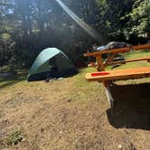 Review photo of Turtle Rock RV Resort by joe S., July 9, 2026