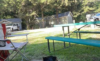 Shayne M.'s photo of camping with pets at Turtle Rock RV Resort near Brookings, OR