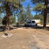 Review photo of Tusayan Dispersed Camping FS Road 302 by Amedeo G., April 25, 2026