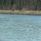 Review photo of Tustumena Lake by tiffany T., May 30, 2026