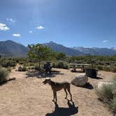 Review photo of Tuttle Creek Campground — Alabama Hills by Julie F., May 13, 2026