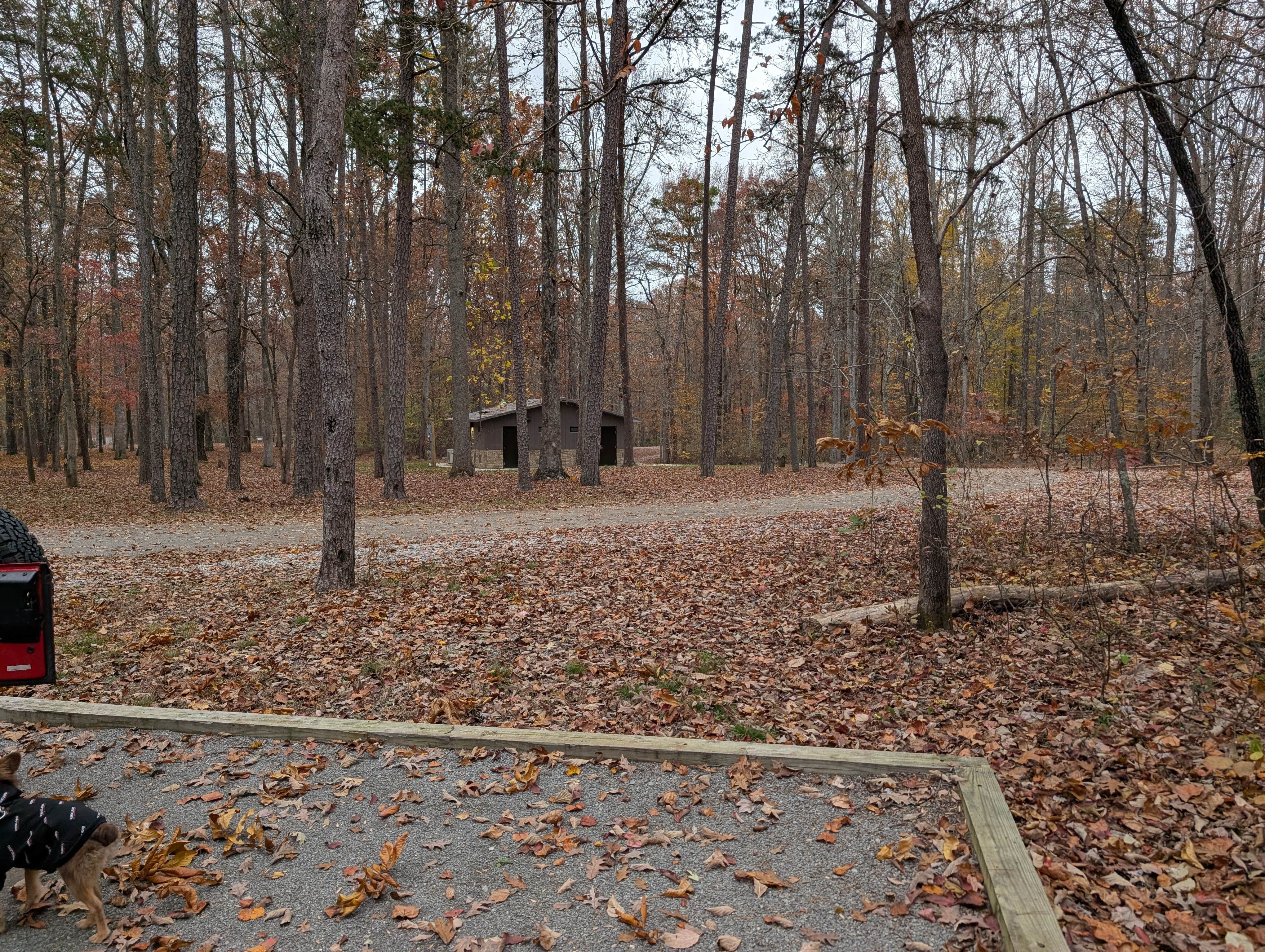 Leah J.'s photo of camping with pets at Foster Falls Campground near Jasper, TN