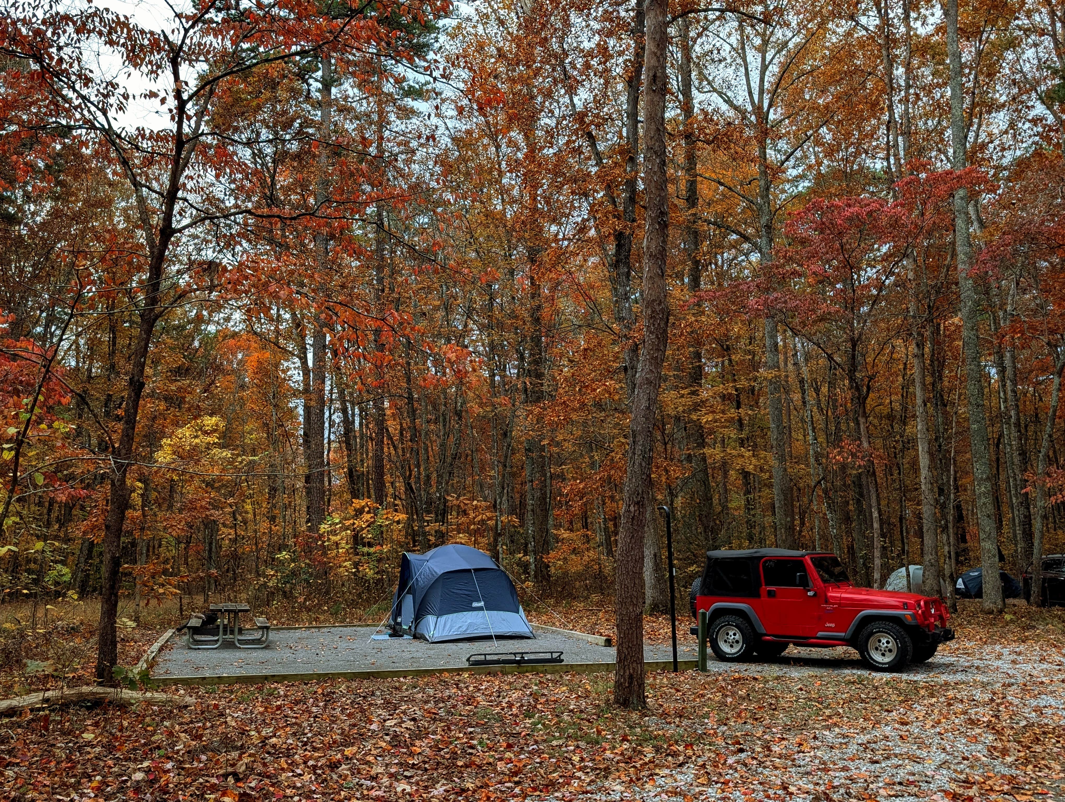 Camper-submitted photo at Foster Falls Campground near Gruetli-Laager, TN