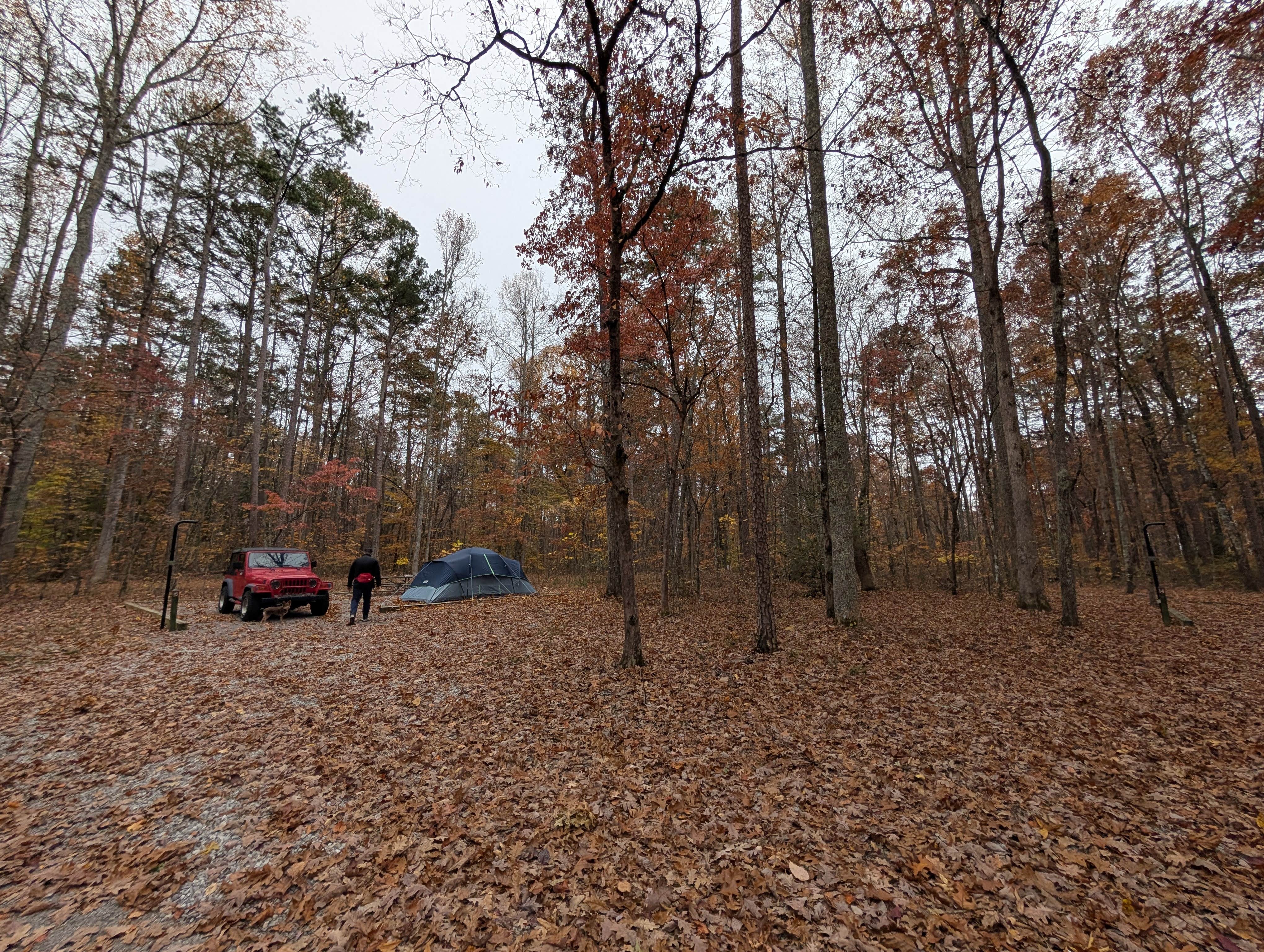 Camper-submitted photo at Foster Falls Campground near Gruetli-Laager, TN