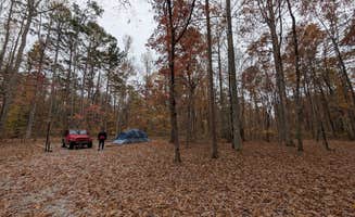 Leah J.'s photo at Foster Falls Campground in Tennessee