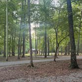 Review photo of Foster Falls Campground by Max Z., September 18, 2026