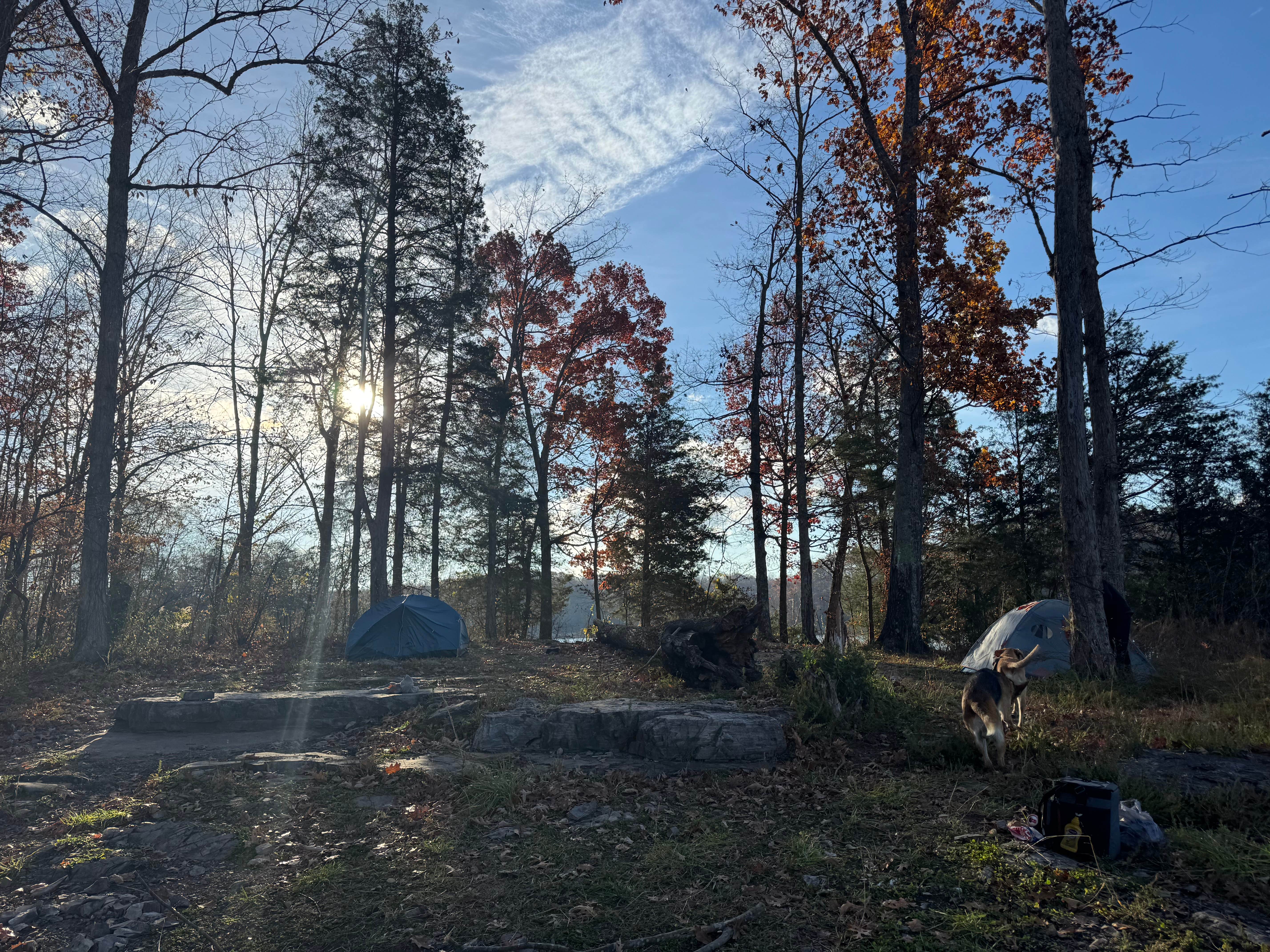 Aly V.'s photo of camping with pets at TVA Public Land- Fork Bend near Oliver Springs, TN
