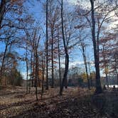 Review photo of TVA Public Land- Fork Bend by Aly E., November 16, 2025