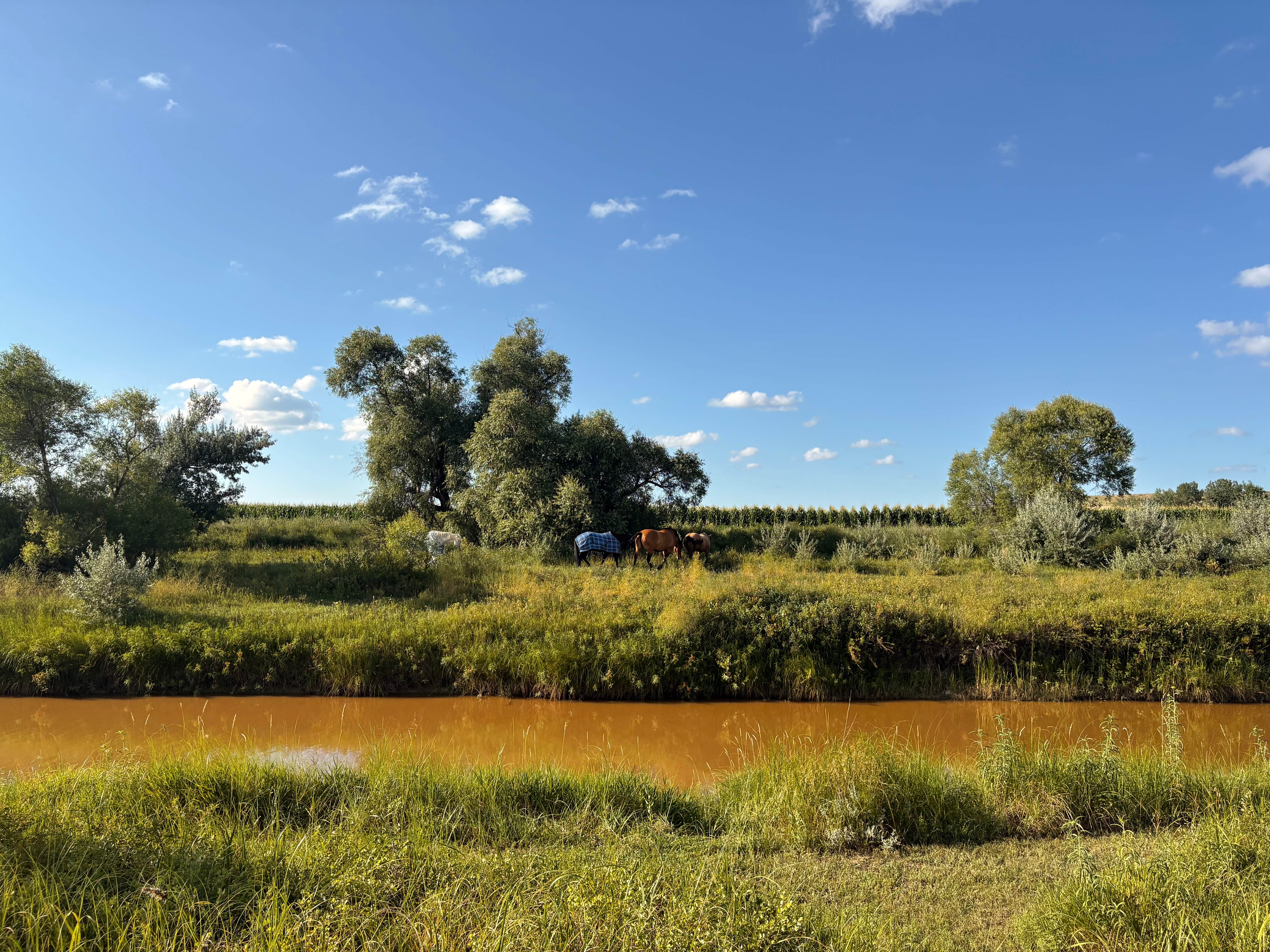 Camper-submitted photo at Primitive Camping - Twelve Mile Dam Fishing Access Site - Montana near Miles City, MT