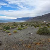 Review photo of Twenty Mile Beach Dispersed Camping by Kelly V., May 4, 2026