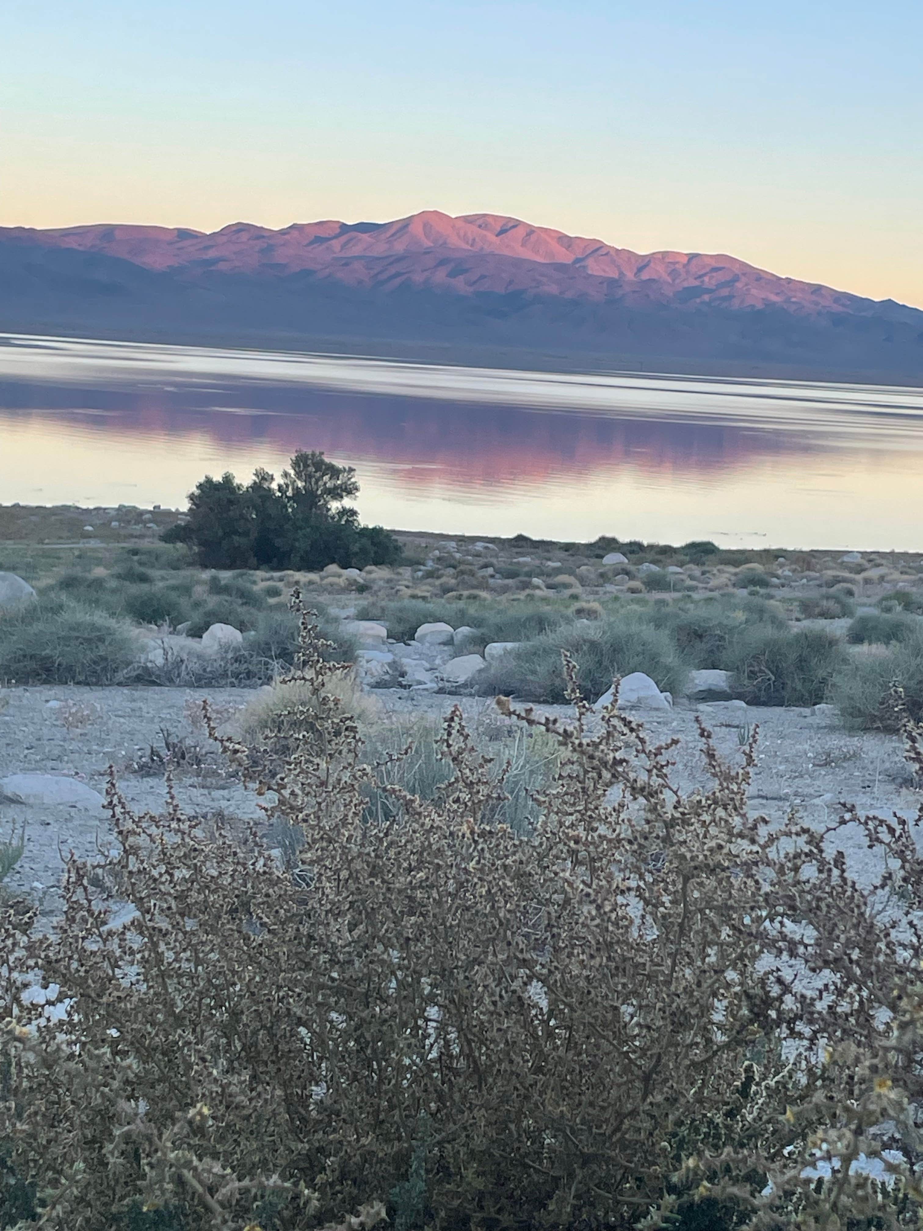 Angie A.'s photo of a dispersed camping area at Twenty Mile Beach Dispersed Camping near Hawthorne, NV