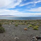 Review photo of Twenty Mile Beach Dispersed Camping by Kelly V., May 4, 2026