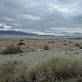 Review photo of Twenty Mile Beach Dispersed Camping by Patricia I., November 22, 2025