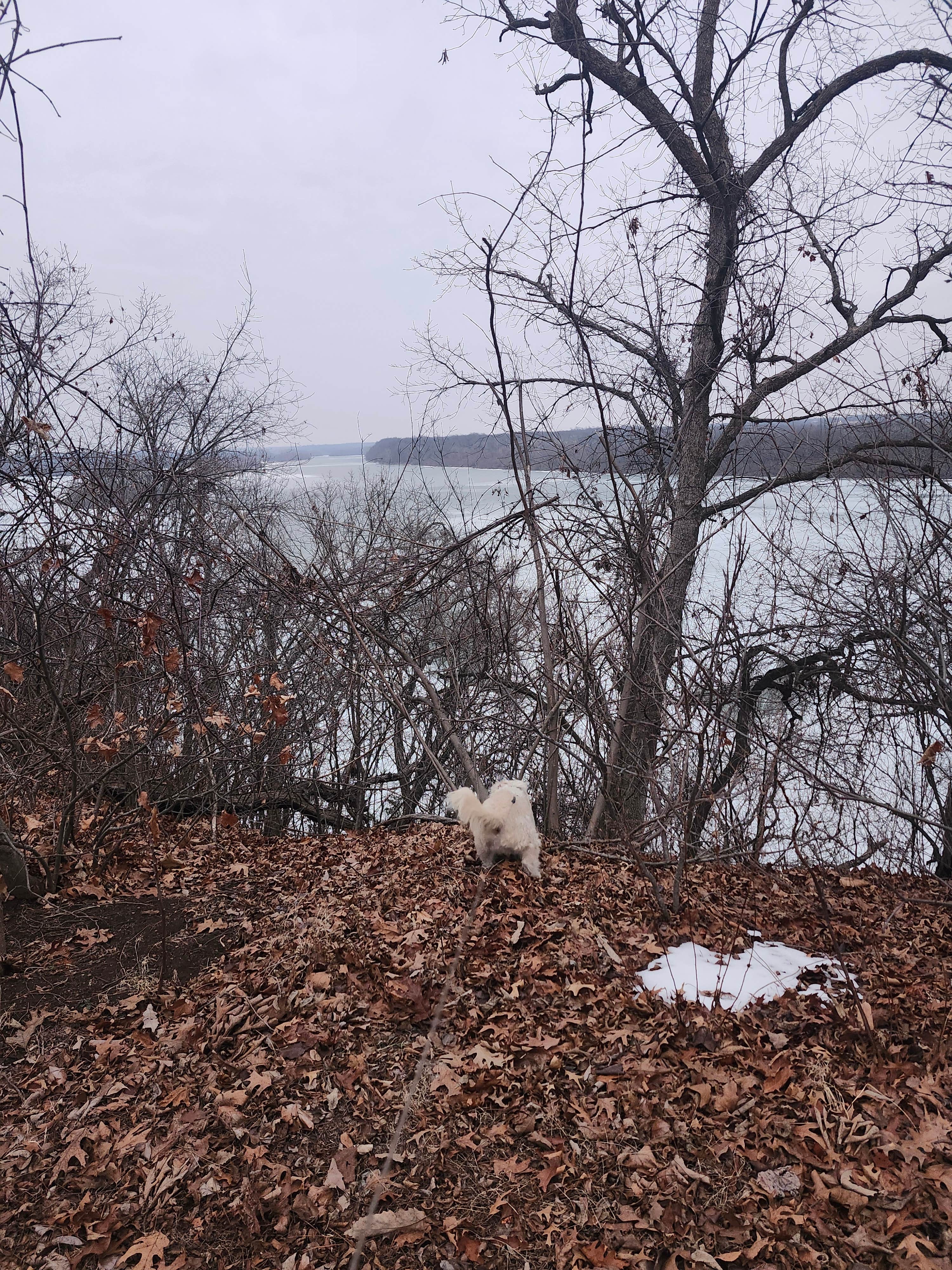Camper-submitted photo at Echo Hollow - Twin Bridges — Grand Lake State Park near Goodman, MO