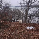 Review photo of Echo Hollow - Twin Bridges — Grand Lake State Park by Virginia F., February 5, 2026
