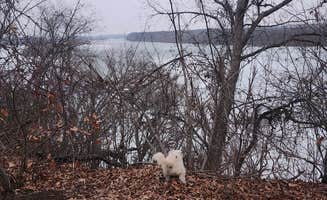 Virginia F.'s photo of camping with pets at Echo Hollow - Twin Bridges — Grand Lake State Park near Webb City, MO