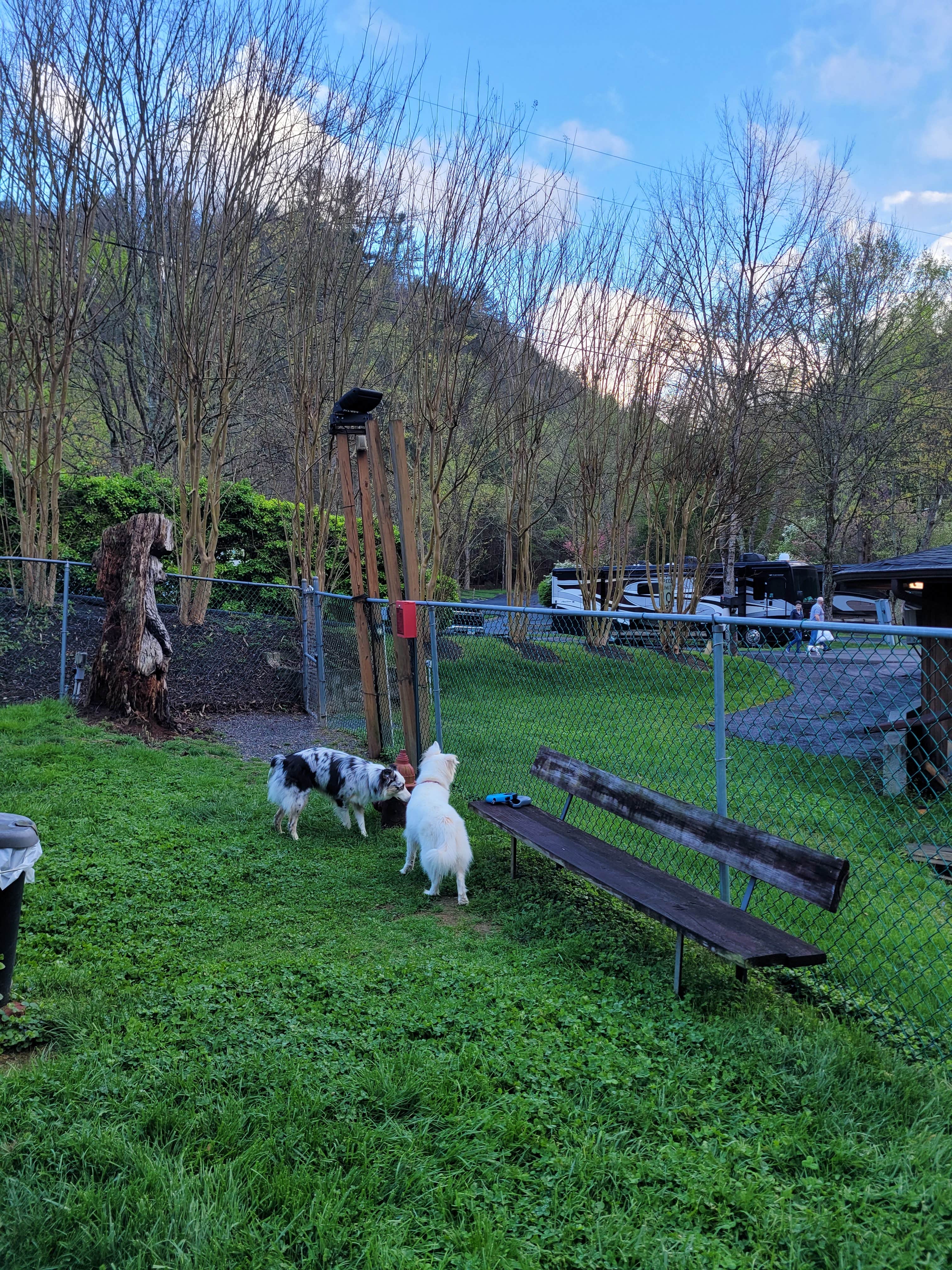 David S.'s photo of camping with pets at Twin Creek RV Resort near Sevierville, TN