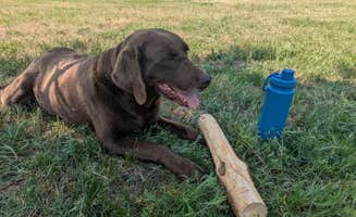 teresa's photo of camping with pets at Twin Creeks RV Retreat near Spokane, WA