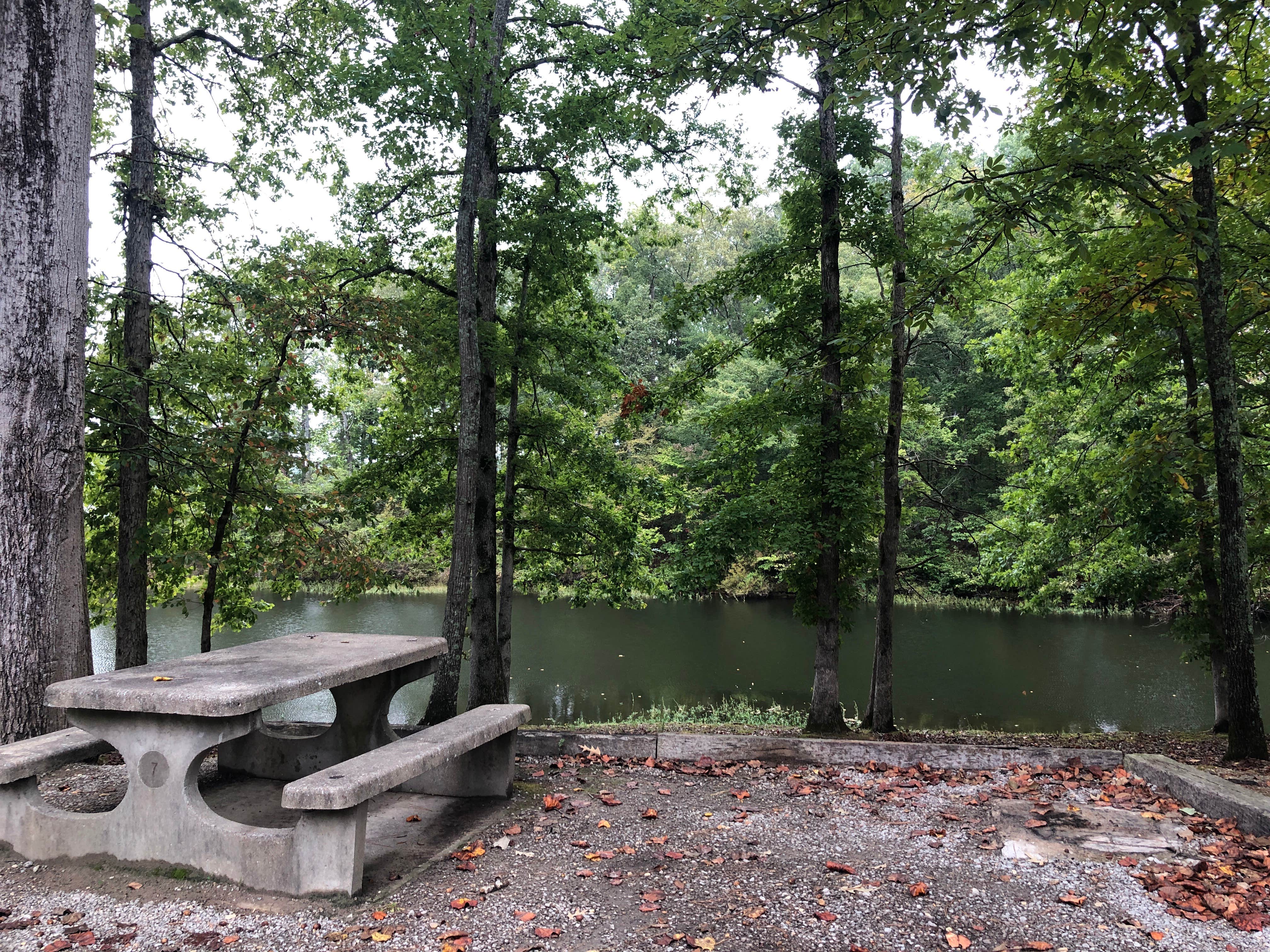 Camping near controller works: Twin Forks County Park and Campground, Bear Creek, Alabama